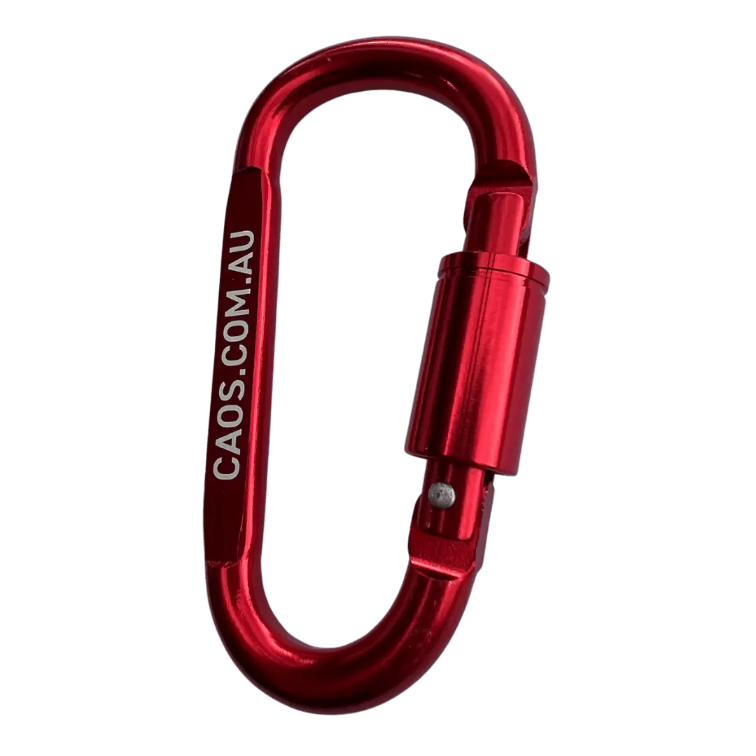 CAOS 4Pk Carabiner Snap Hook & Lock - Image 5